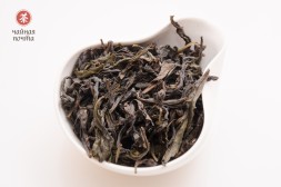 Цзинь Бьен Ци Лань &amp;quot;ААА&amp;quot; (Чудесная Орхидея)