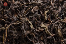 Цзинь Бьен Ци Лань &amp;quot;ААА&amp;quot; (Чудесная Орхидея)