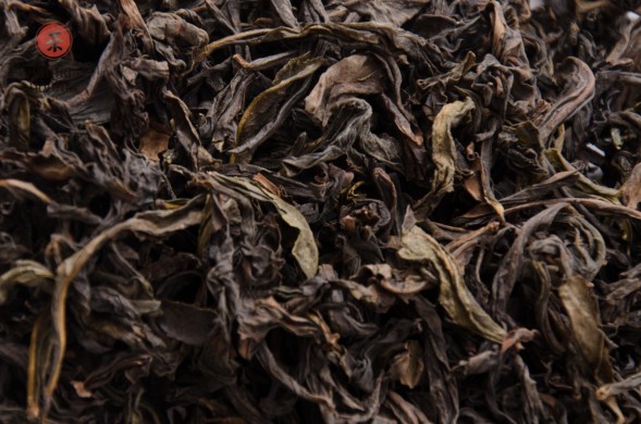 Цзинь Бьен Ци Лань &amp;quot;ААА&amp;quot; (Чудесная Орхидея)