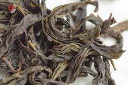 Цзинь Бьен Ци Лань &amp;quot;ААА&amp;quot; (Чудесная Орхидея)