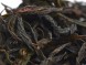 Хуан Чжи Сян &amp;quot;АА&amp;quot; (Одинокие Кусты с Ароматом Желтой Акации)