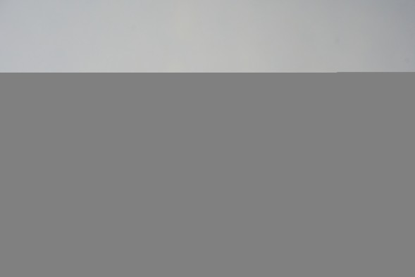 Пиала #2203, 120 мл., фарфор