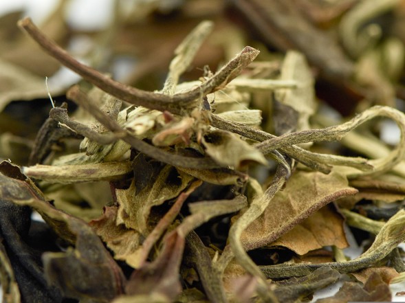 Юэ Гуан Бай (Белый Лунный Свет) &amp;quot;А&amp;quot;, 2025 г.