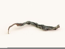 Уи Шань Е Шен Хун Ча (Дикий Красный из Уишани), весна 2025 г.