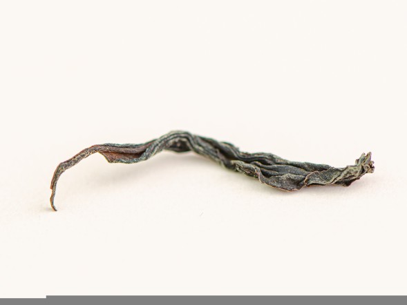 Уи Шань Е Шен Хун Ча (Дикий Красный из Уишани), весна 2025 г.