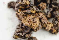 ГАБА &amp;quot;Ягодный компот&amp;quot;