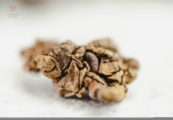 ГАБА &amp;quot;Ягодный компот&amp;quot;