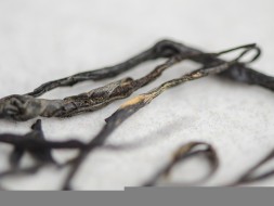 Ежевика Чжун Го Хун  &amp;quot;ААА&amp;quot;, 2024 г.