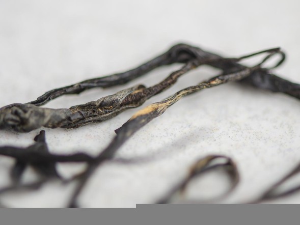 Ежевика Чжун Го Хун  &amp;quot;ААА&amp;quot;, 2024 г.