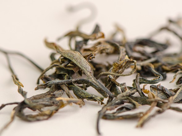 Шэн пуэр &amp;quot;Мао Ча Ган Гуо Сян&amp;quot; (аромат сухофруктов), Сигуй, 2022 г.