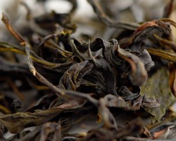 Да У Е Дань Цун (Одинокие Кусты с Большими Темными Листьями) &amp;quot;АА&amp;quot;