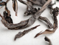 Лао Цун Шуй Сянь &amp;quot;АА&amp;quot; (Водяной Бессмертный со Старых Кустов)