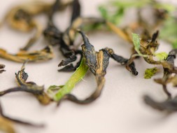 &amp;quot;Нин Мэн Хун Ча&amp;quot; (Дянь Хун с лимонником), 2025г.