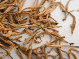 Дянь Хун Да Цзинь Я &amp;quot;ААА&amp;quot; (Большая Золотая Почка), 2025г.