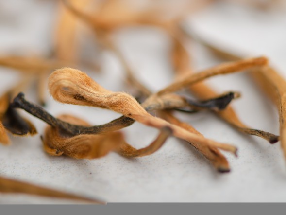 Дянь Хун Да Цзинь Я &amp;quot;ААА&amp;quot; (Большая Золотая Почка), 2025г.