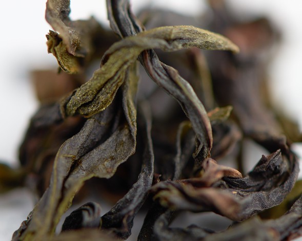 Ци Лань &amp;quot;АА&amp;quot; (Чудесная Орхидея)