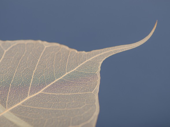 Сито #68, 12 см.