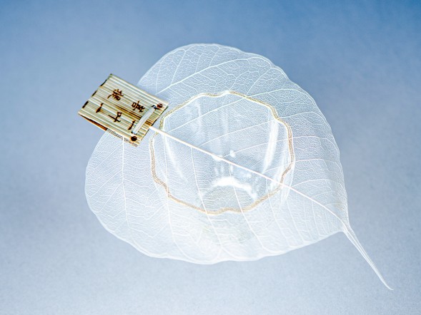 Сито #68, 12 см.