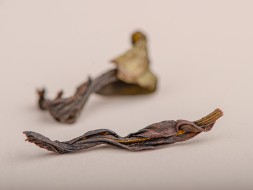 Чэнь Мэнь Дань Цун &amp;quot;Старые ворота&amp;quot;, 2024г.