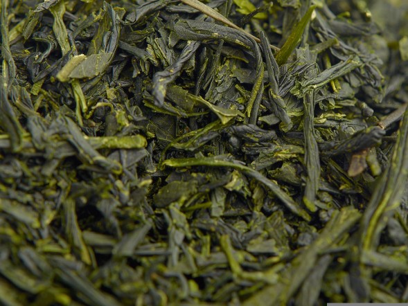 Кабусе Сенча &amp;quot;ААА&amp;quot;