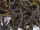 Е Лань Сян Дань Цун &amp;quot;ААА&amp;quot; (Одинокие Кусты с Ароматом Туберозы)
