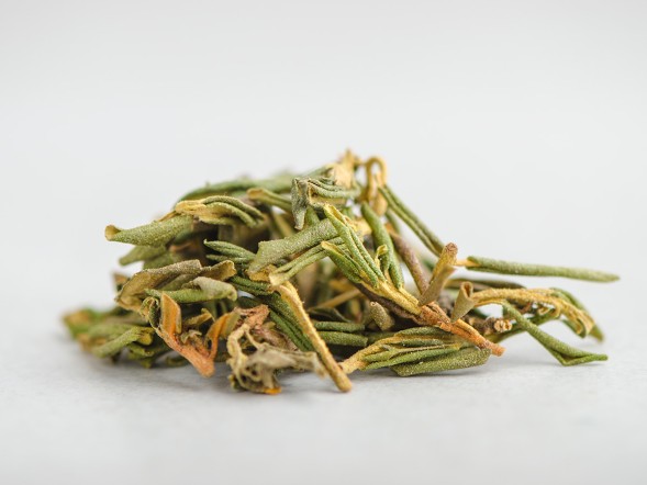 Саган-дайля &amp;quot;Летний&amp;quot; (Сайган Дайля, Белое Крыло Шамана) &amp;quot;ААА&amp;quot;, 2025 г.