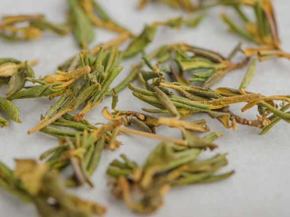 Саган-дайля &amp;quot;Летний&amp;quot; (Сайган Дайля, Белое Крыло Шамана) &amp;quot;ААА&amp;quot;, 2025 г.