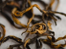 Гуйчжоу Цзюнь И Дун Фан Хун &amp;quot;АА&amp;quot; (Алеющий Восток)