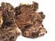 Золотой Корень (Родиола Розовая)