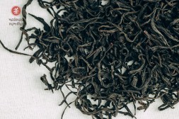 Мэй Чжань Хун Ча, весна 2025 г.