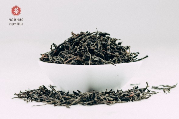 Мэй Чжань Хун Ча, весна 2025 г.