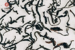 Мэй Чжань Хун Ча, весна 2025 г.