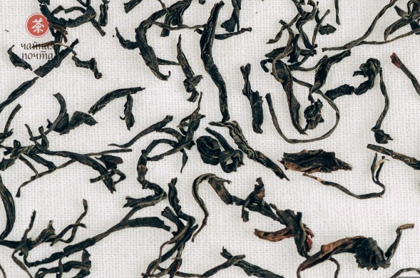 Мэй Чжань Хун Ча, весна 2025 г.