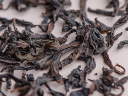 Гао Шань Ци Лань &amp;quot;ААА&amp;quot;, 2024 г.