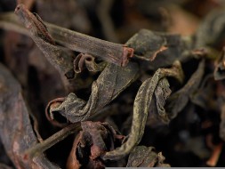 Мэй Жень Бай Ча &amp;quot;АА&amp;quot; (Белый Чай в стиле Дун Фан Мэй Жень)