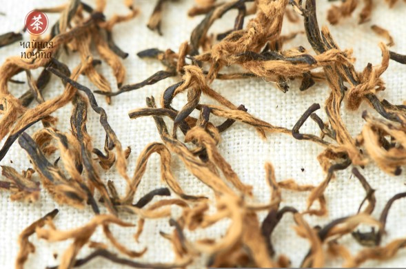 Цзинь Цзюнь Мэй &amp;quot;ААА&amp;quot; (Золотые Брови), 2024г.