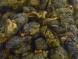 Шань Лин Си, Ручей Хвойного Леса &amp;quot;ААА&amp;quot;, о. Тайвань