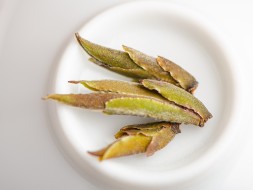 Гу Шу Е Шэн Цзы Я Бао "ААА" 2024 г., "Изумрудно-пурпурный из Фэнцин"