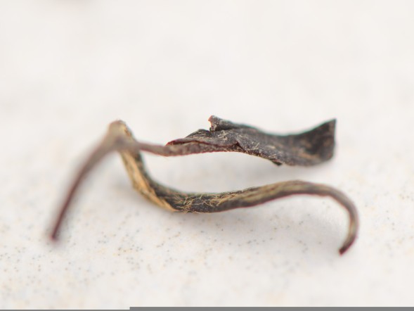 Красный чай &amp;quot;Деревенский&amp;quot;, А, Грузия (Аджария), 2022 г.