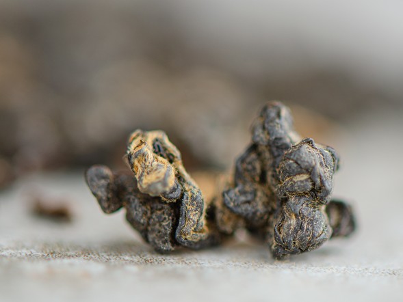 ГАБА &amp;quot;Атомик Peach Edition&amp;quot;,  AA, 2024г.