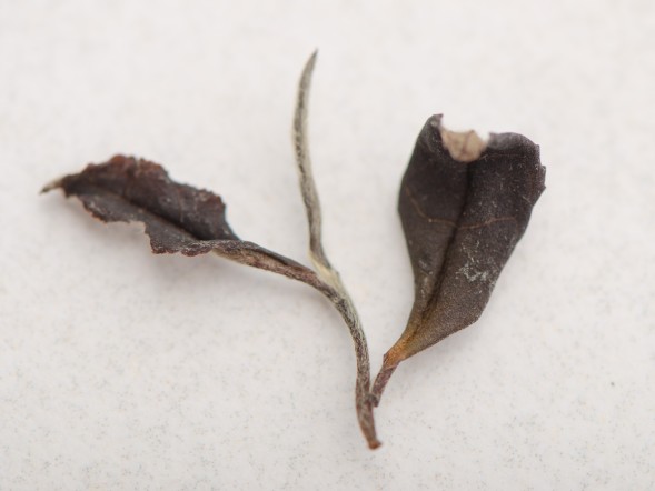 Лао Бай Ча (Старый Органический Белый Чай), Грузия (Имеретия), 2019 г.