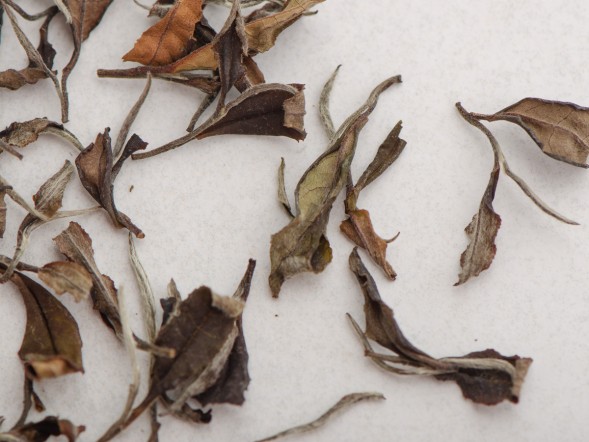 Лао Бай Ча (Старый Органический Белый Чай), Грузия (Имеретия), 2019 г.