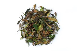 Белый &amp;quot;Sun&amp;quot; (Zemo); Грузия, 2025 г. 