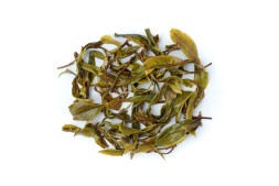 Шэн "Sun" (Zemo); Грузия, 2025 г.