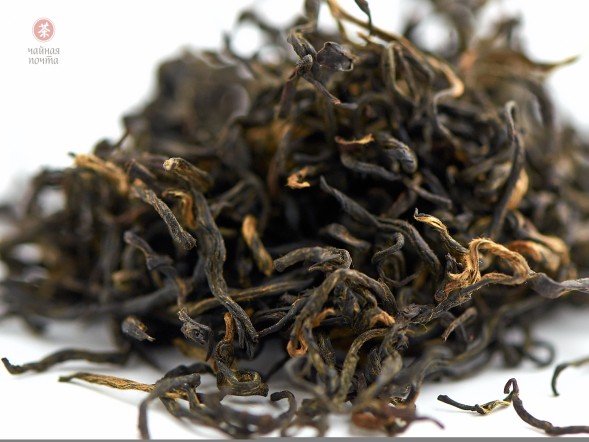 Цихун (Кимун) &amp;quot;АА&amp;quot;