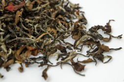 Дун Фан Мэй Жень, 2025 г., Таиланд