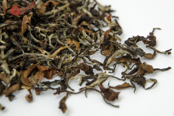 Дун Фан Мэй Жень, 2025 г., Таиланд