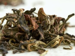 Дун Фан Мэй Жень, 2025 г., Таиланд