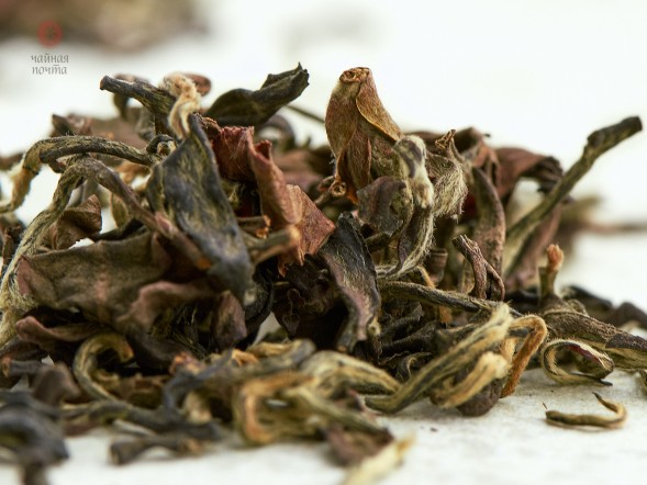 Дун Фан Мэй Жень, 2025 г., Таиланд