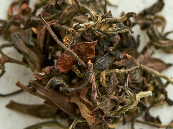 Дун Фан Мэй Жень, 2025 г., Таиланд